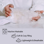 LUVIVIHOME 3PCS Black and Gold Comforter Set – Queen Size, VIP Luxury Crown Bedding Set, Ultra-Soft All-Season Lightweight Quilt with 2 Pillow Shams